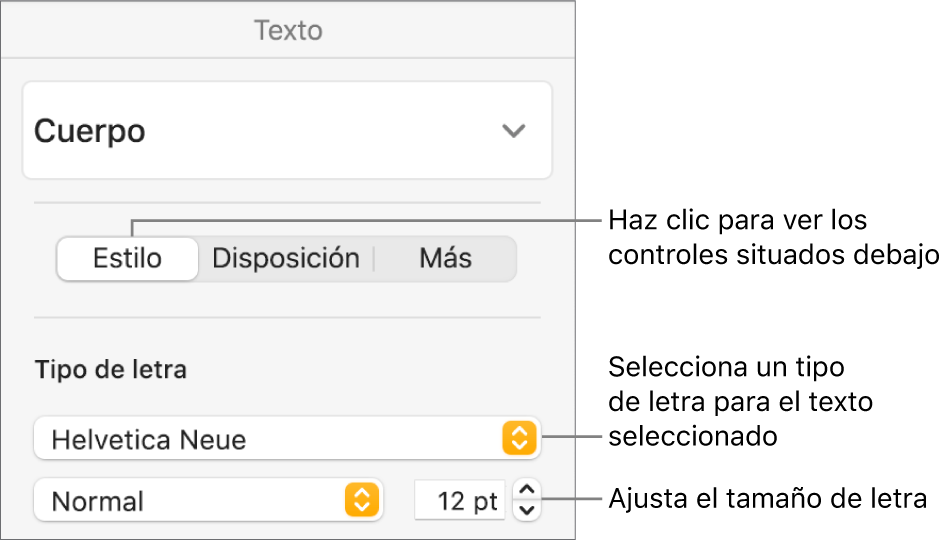 Controles de texto de la sección Estilo de la barra lateral Formato para ajustar el tamaño y el tipo de letra.