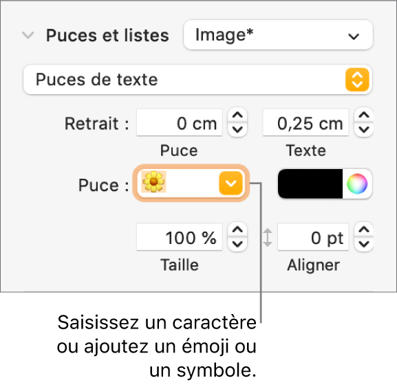 La section Puces et listes de la barre latérale Format. Le champ Puces affiche un émoji de fleur.