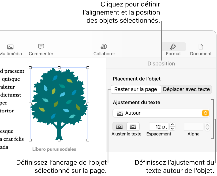 Le menu Format avec la barre latérale Disposition affichée. Les réglages Placement d’objet sont en haut de la barre latérale Disposition, au-dessus des réglages Ajustement du texte.