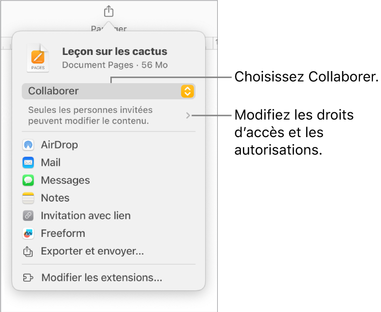 Le menu Partager avec l’option Collaborer sélectionnée dans le haut, au-dessus des réglages d’accès et d’autorisation.