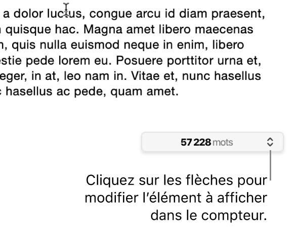 Le menu indiquant le nombre de mots dans le document.