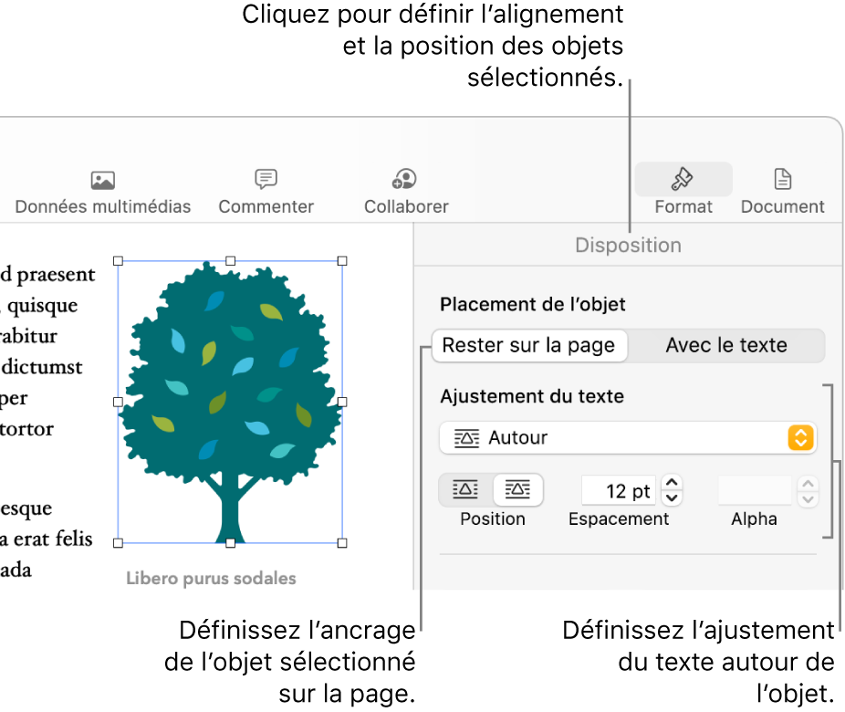 Le menu Format avec la barre latérale Disposition affichée. Les réglages « Placement objet » sont en haut de la barre latérale Disposition, avec les réglages « Ajustement du texte » en dessous.