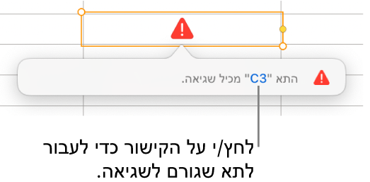 קישור לשגיאה בתא.