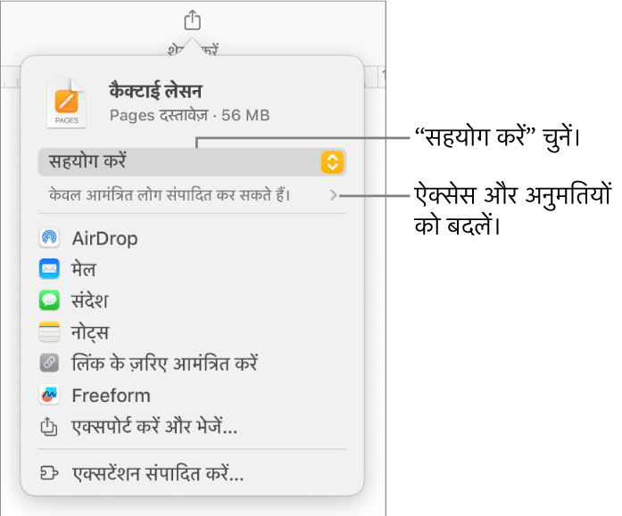 “शेयर करें” मेनू और शीर्ष पर “सहयोग करें” तथा नीचे ऐक्सेस और अनुमतियाँ चुनी हुई हैं।