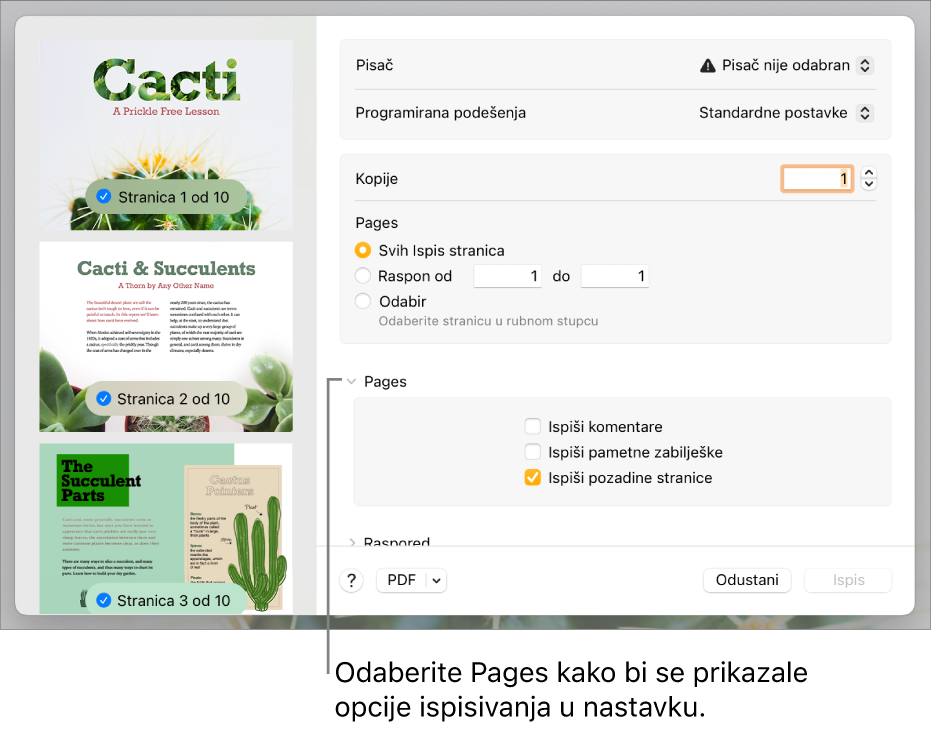 Dijaloški okvir za ispis s kontrolama za pisač, postavke, kopije i raspon stranica. Odabrana je aplikacija Pages u skočnom izborniku ispod postavki za raspona stranica, a nakon toga slijede potvrdne kućice za ispis komentara, ispis pametnih bilješki te pozadine stranice za ispis.