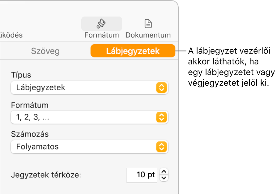 A Lábjegyzetek panel a Típus, a Formátum, a Számozás és a Jegyzetek térköze legördülő menüvel.