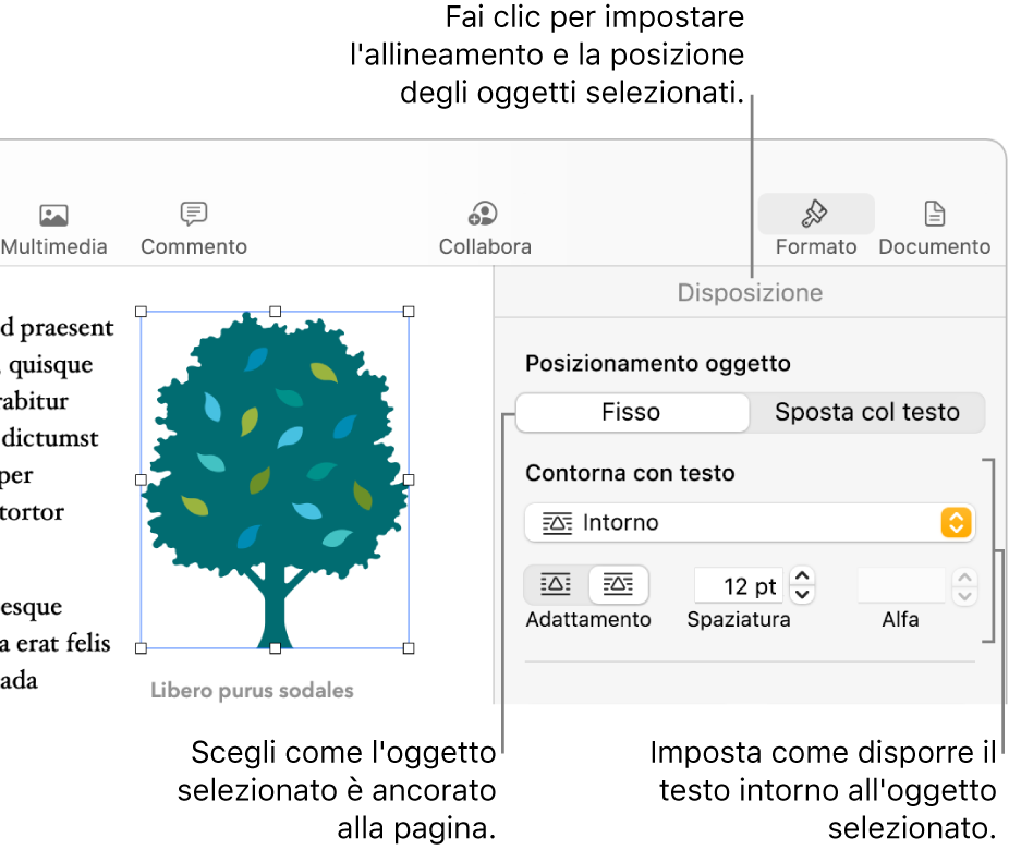 Il menu Formattazione che mostra la barra laterale Disposizione. Le impostazioni “Posizionamento oggetto” si trovano nella parte superiore della barra laterale Disposizione, con le impostazioni di “Contorna testo” al di sotto.