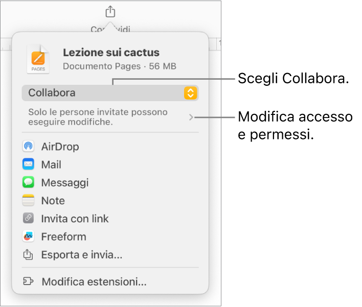 Il menu di condivisone con l’opzione Collabora selezionata in alto e le impostazioni di accesso e dei permessi sotto.