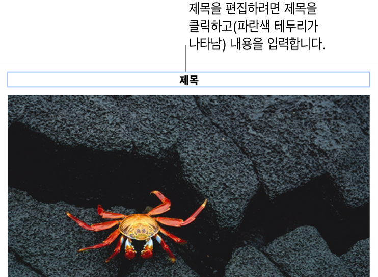 사진 아래에 ‘제목’이라고 나타나는 위치 지정자 제목. 제목 필드 주위의 파란색 윤곽선은 선택되었음을 나타냄.