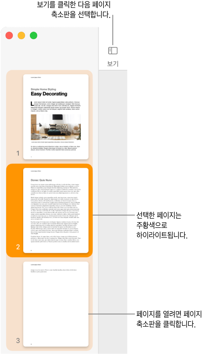 Pages 윈도우 왼쪽 측면의 사이드바에 페이지 썸네일 보기가 열려 있고 선택된 페이지는 어두운 주황색으로 하이라이트됨.