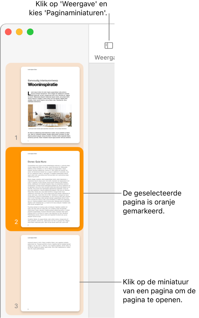 De navigatiekolom aan de linkerkant van het Pages-venster met daarin paginaminiaturen en een geselecteerde pagina die donkeroranje is gemarkeerd.