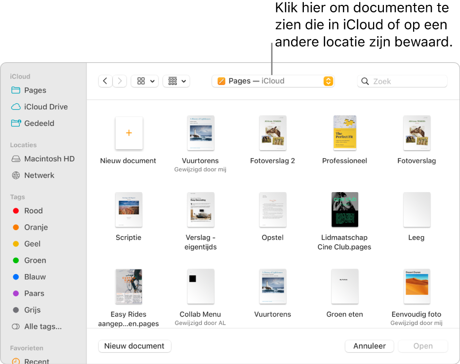 Het dialoogvenster 'Open' waarin de navigatiekolom aan de linkerkant is geopend en waarin in het pop‑upmenu bovenin 'iCloud Drive' is geselecteerd. In het dialoogvenster staan mappen voor Keynote, Numbers en Pages en de knop 'Nieuw document'.