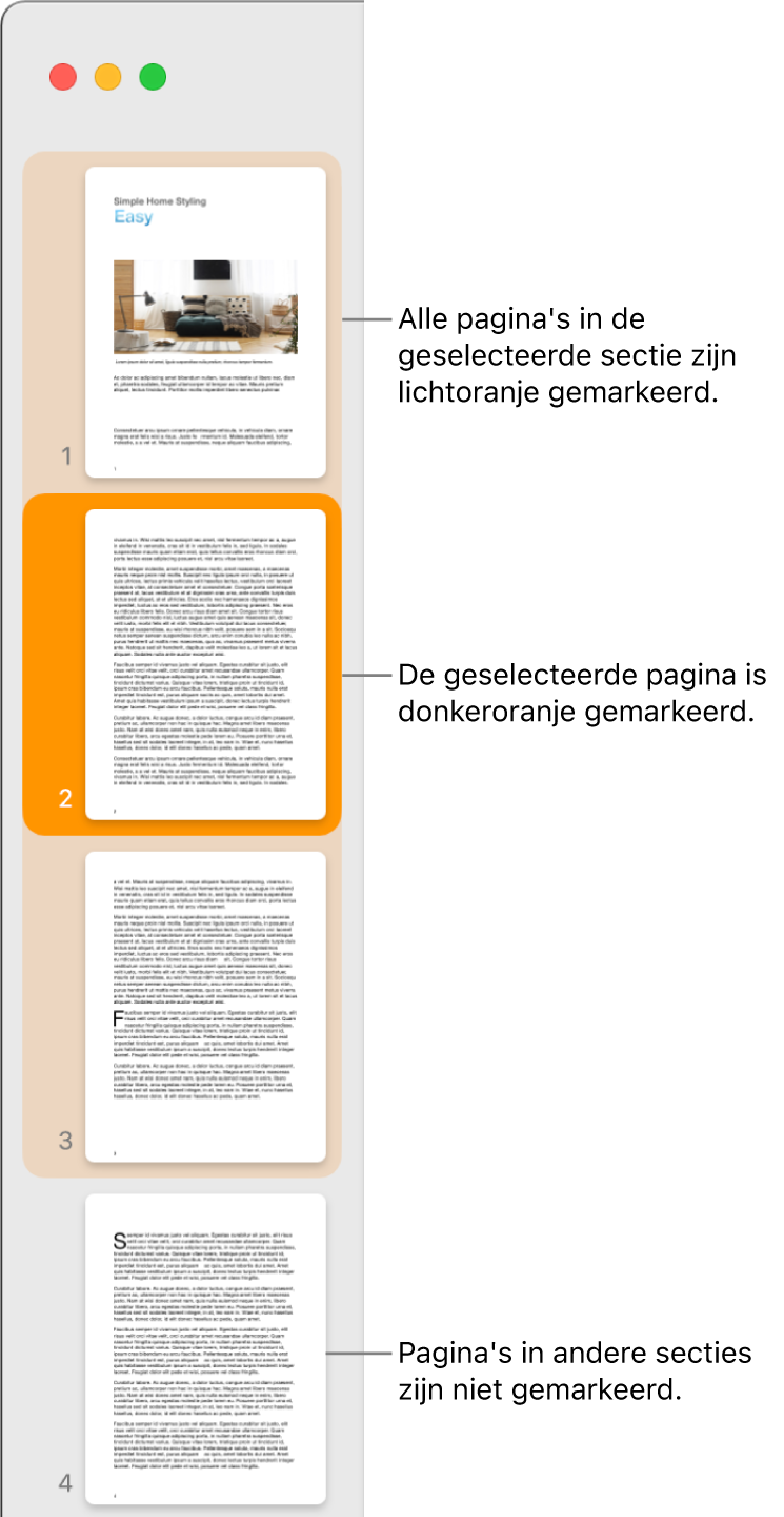 De miniatuurweergave met de geselecteerde pagina donkeroranje gemarkeerd en alle andere pagina's in de geselecteerde sectie lichtoranje gemarkeerd.