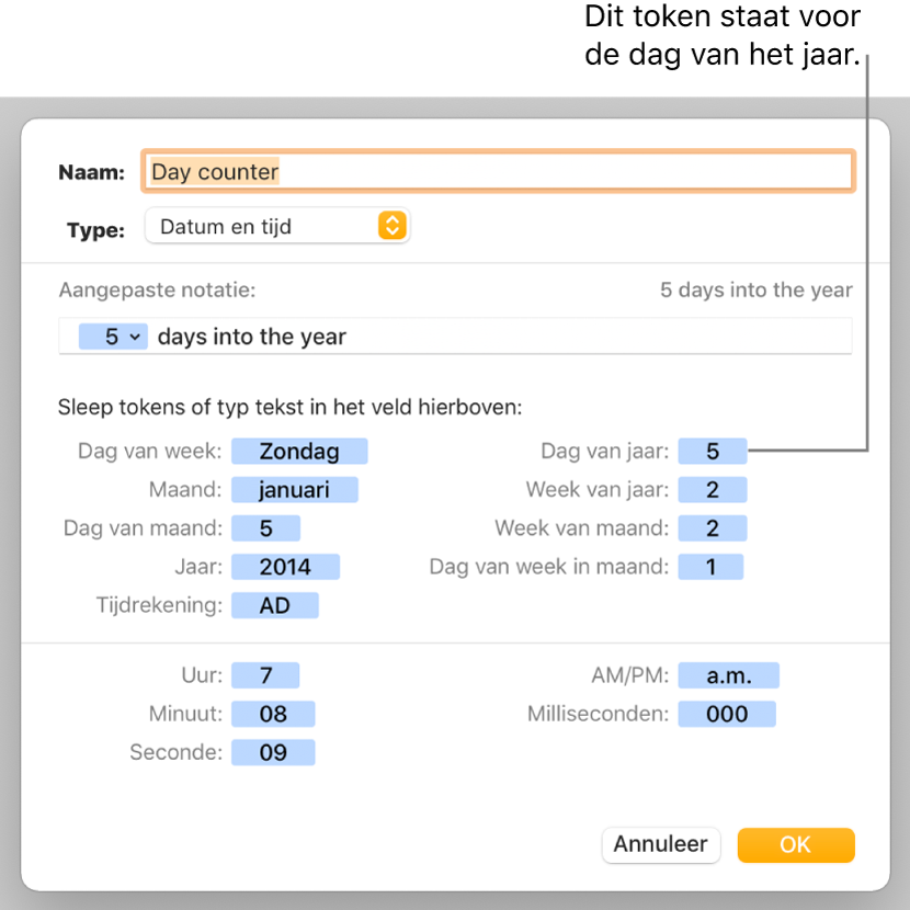 Het venster voor aangepaste celnotatie met regelaars voor het kiezen van aangepaste datum- en tijdnotatie.