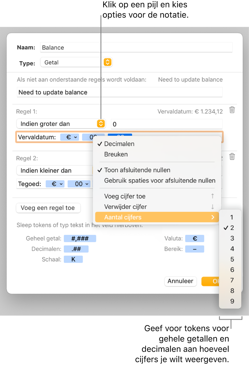 Het venster voor aangepaste celnotatie met regelaars voor aangepaste notatie-opties.