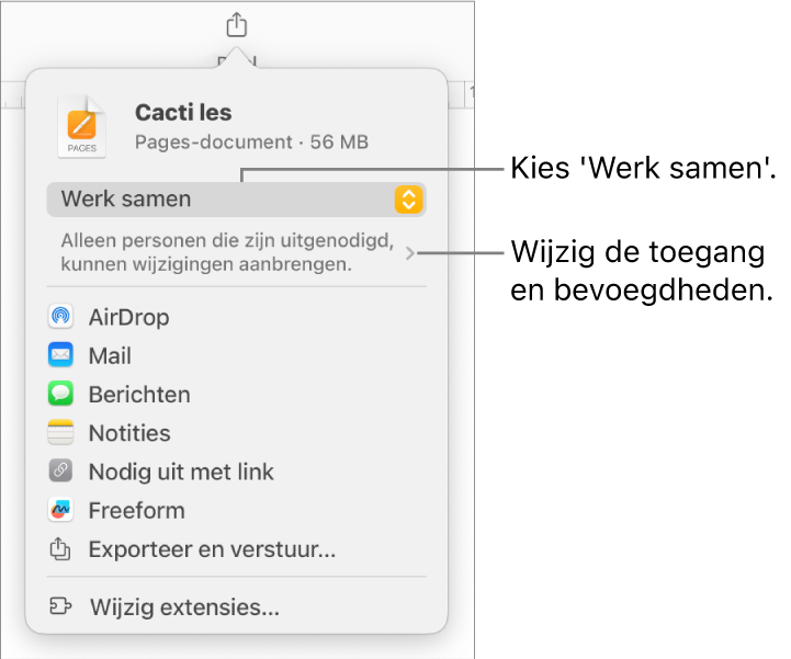 Het Deel-menu waarin bovenin 'Werk samen' is geselecteerd. Eronder staan toegangsinstellingen en bevoegdheden.