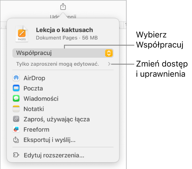 Menu udostępniania z opcją Współpracuj wybraną u góry oraz ustawieniami dostępu i uprawnień poniżej.