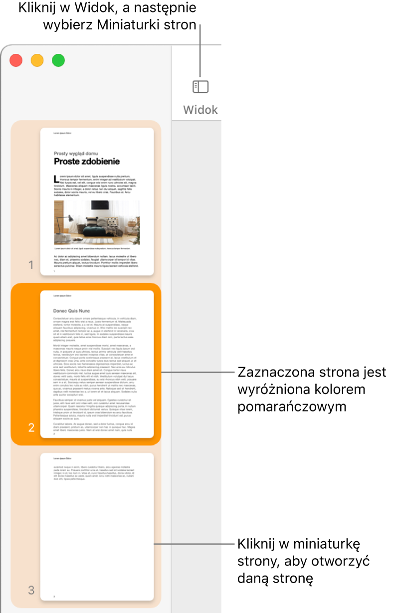 Pasek boczny po lewej stronie okna Pages, wyświetlający widok miniaturek stron. Zaznaczona strona wyróżniona jest kolorem ciemnopomarańczowym.