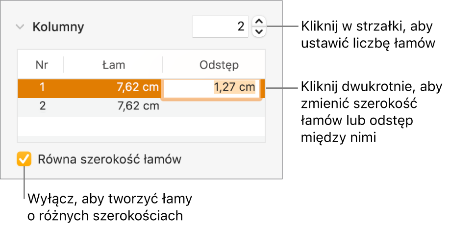 Panel Makieta w Inspektorze formatu, zawierający narzędzia edycji łamów.