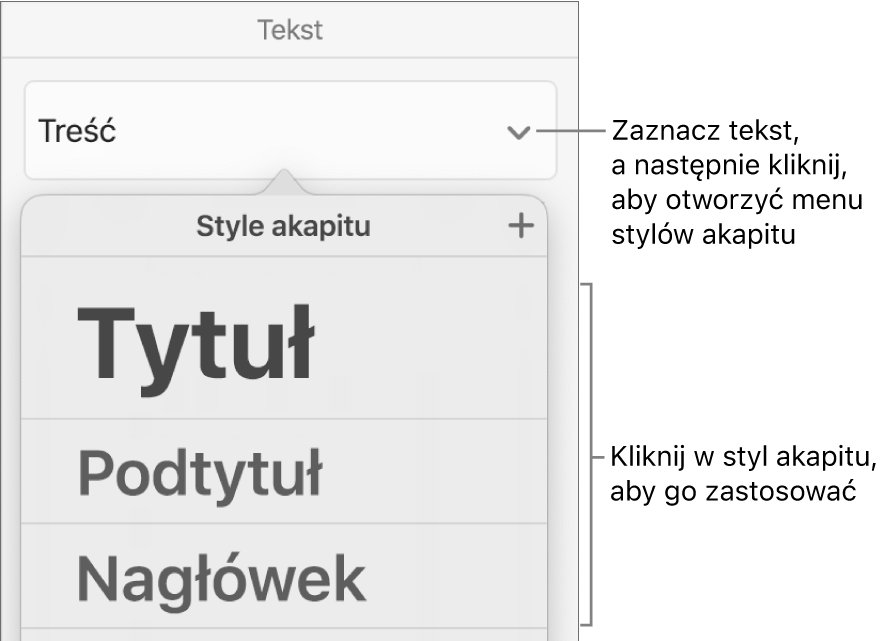 Menu stylów akapitu.