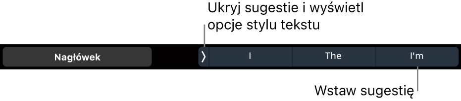 Pasek Touch Bar na MacBooku Pro z narzędziami do wybierania stylu tekstu, ukrywania sugestii pisowni oraz wstawiania sugestii pisowni.