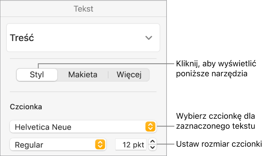 Narzędzia tekstu w sekcji Styl na pasku bocznym Format, pozwalające na ustawianie czcionki i jej wielkości.