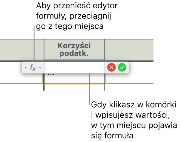 Edytor formuł.