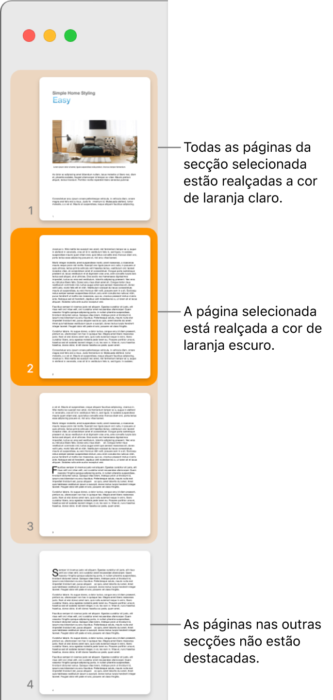 A barra lateral de vista das miniaturas com a página selecionada destacada a cor de laranja escuro e todas as páginas na secção selecionada destacadas a cor de laranja claro.