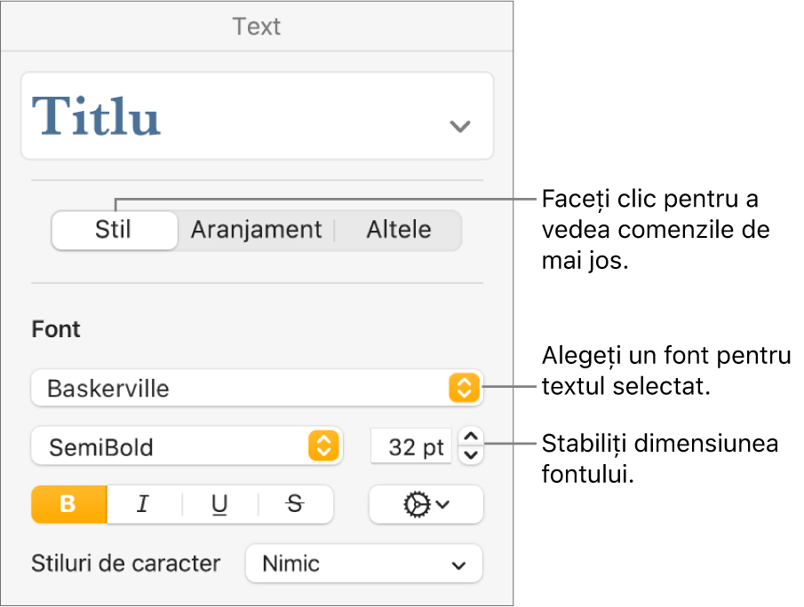 Comenzi de text din secțiunea Stil a barei laterale Format pentru configurarea fontului și a dimensiunii fontului.