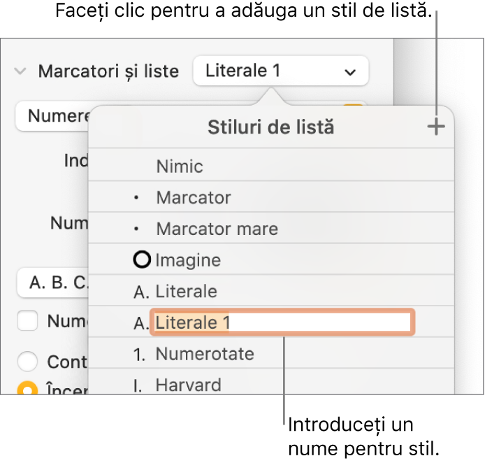 Meniul pop-up Stiluri de listă, cu un buton Adaugă în colțul din dreapta sus și un nume de stil substituent cu textul aferent selectat.