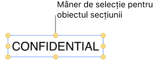 Un obiect cu mânere de selecție.