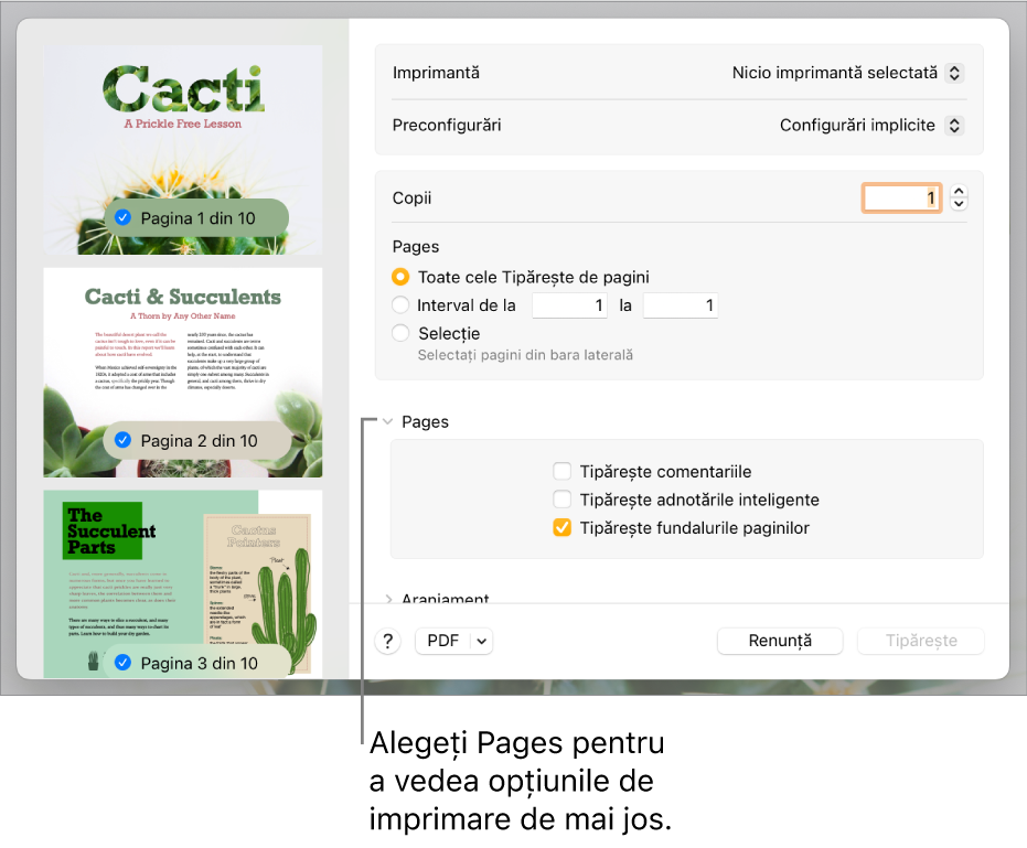 Dialogul de tipărire și comenzile pentru imprimantă, preconfigurări, copii și intervalul de pagini. Se selectează Pages în meniul pop-up de sub configurările pentru intervalul de pagini, urmat de casetele de validare pentru tipărirea comentariilor, tipărirea adnotărilor inteligente și tipărirea fundalurilor paginilor.