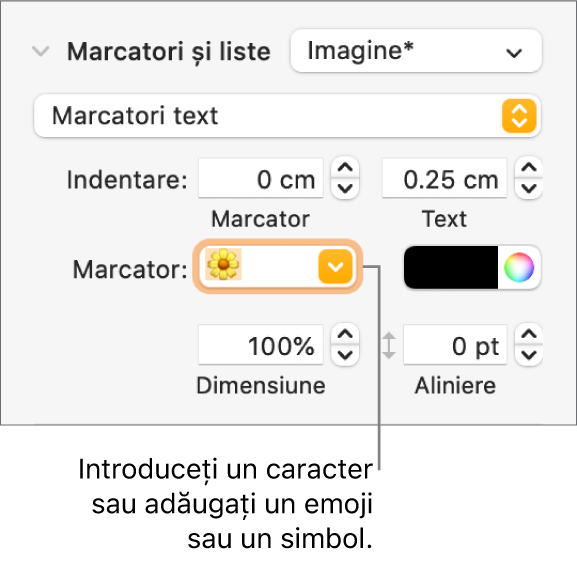 Secțiunea Marcatori și liste din bara laterală Format. Câmpul Marcatori afișează un emoji floare.