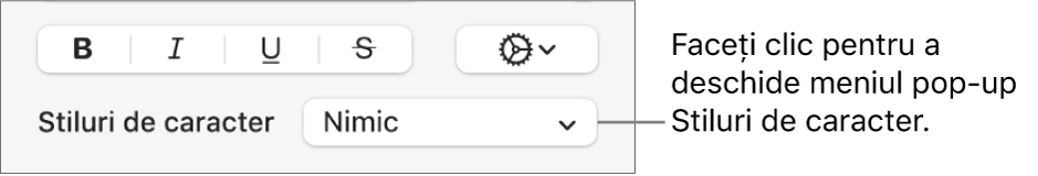 Meniul pop-up Stiluri de caracter sub comenzile pentru schimbarea stilului și a culorii textului.