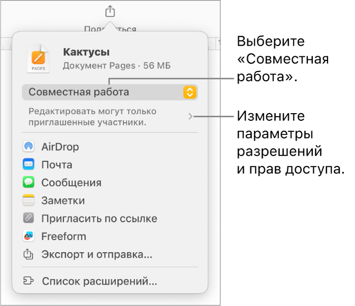 В верхней части экрана отображается меню «Поделиться». Выбран параметр «Совместная работа», под ним находятся настройки прав доступа.