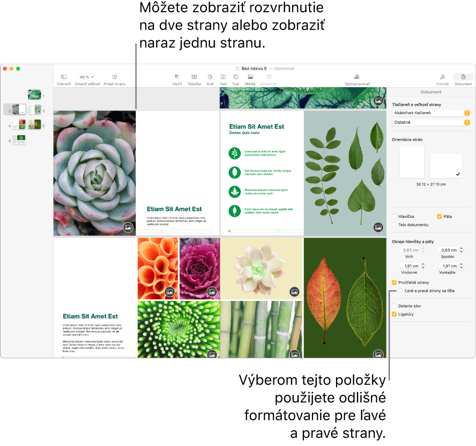 Okno Pages s miniatúrami strán a stranami dokumentu v zobrazení dvoch strán vedľa seba. Na postrannom paneli Dokument napravo je neoznačené políčko Ľavé a pravé strany sa líšia.