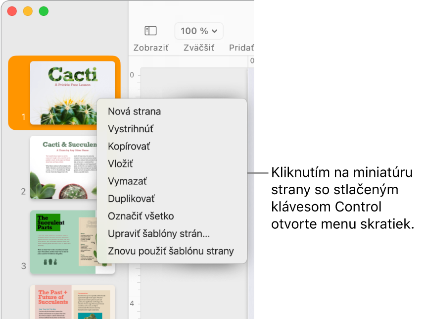 Zobrazenie Miniatúry strán s jednou označenou miniatúrou a otvoreným menu skratiek.