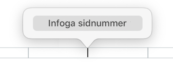 Knappen Infoga sidnummer nedanför rubriken.