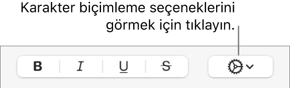 Kalın, İtalik, Altı Çizgili ve Üstü Çizgili düğmelerinin sağ tarafında Diğer Metin Seçenekleri açılır menüsü.