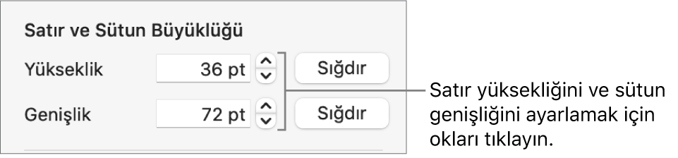 Net satır veya sütun boyutu ayarlama denetimleri.