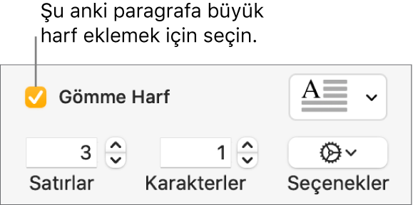 İlki Büyük Harf onay kutusu seçilidir ve sağında bir açılır menü görünür; satır yüksekliğini, karakter sayısını ve diğer seçenekleri ayarlama denetimleri ise altında görünür.