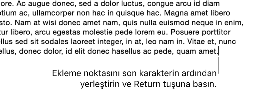 Paragrafın son cümlesindeki nokta işaretinden sonra yerleştirilmiş ekleme noktası.