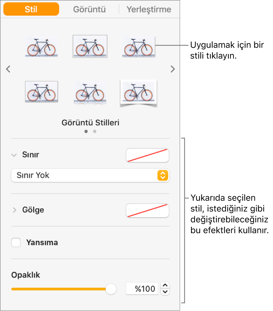 Nesne stili seçeneklerini gösteren Biçim kenar çubuğunun Stil sekmesi.