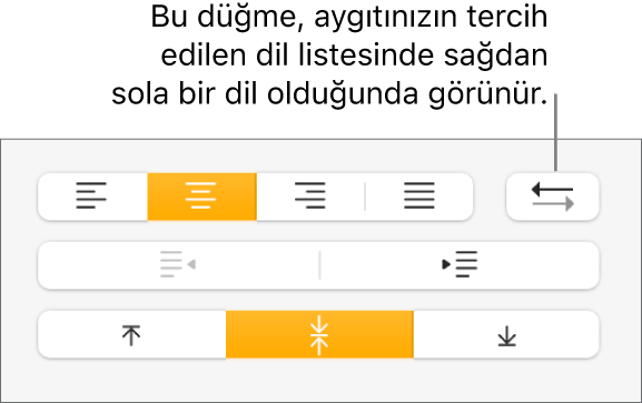 Biçim kenar çubuğunun Hizalama bölümünde Paragraf Yönü düğmesi.