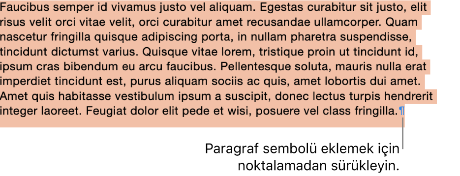 Seçime eklenmiş paragraf sembolü ile seçili bir paragraf.