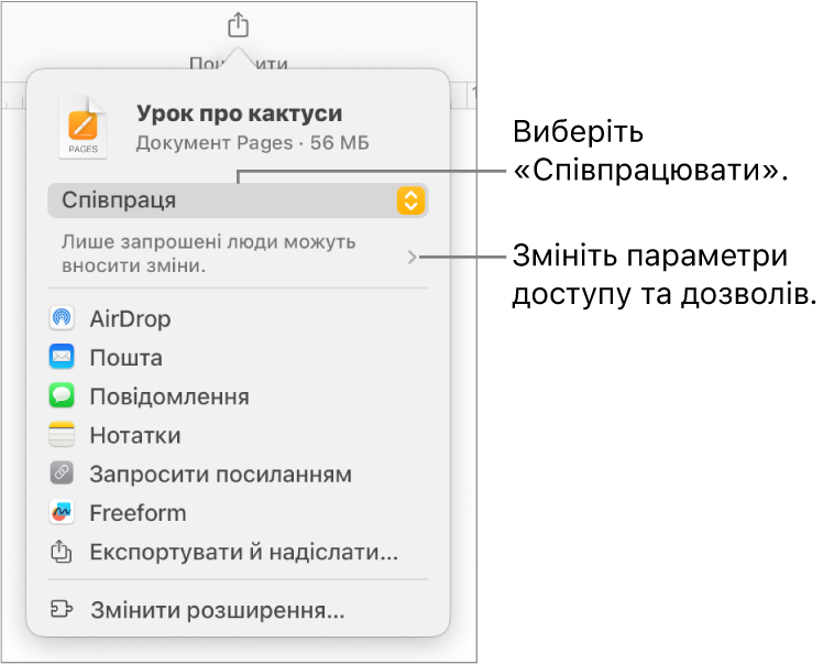 Меню «Поширити» з вибраним угорі елементом «Співпраця», а також параметрами доступу й дозволів унизу.