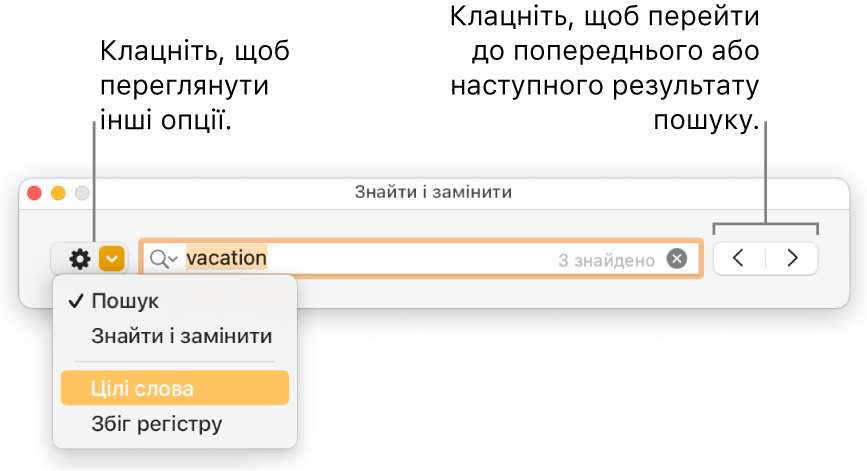 Вікно «Пошук і заміна» зі спливним меню опцій «Пошук», «Пошук і заміна», «Цілі слова» та «Збіг регістру». Стрілки праворуч дають змогу перейти до попереднього або наступного результату пошуку.