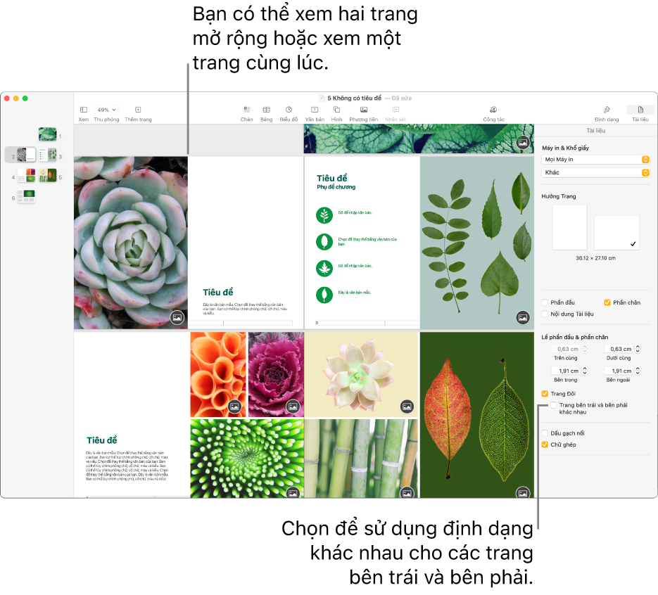 Cửa sổ Pages với các hình thu nhỏ của trang và các trang tài liệu được xem dưới dạng bản in hai trang. Trên thanh bên Tài liệu ở bên phải, hộp kiểm “Trang bên trái và bên phải khác nhau” được chọn.