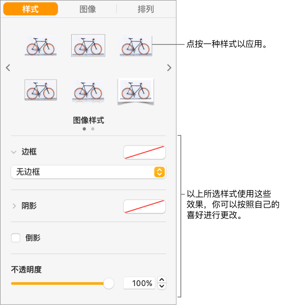 显示对象样式选项的“格式”边栏的“样式”标签。