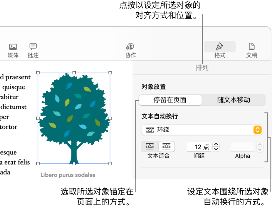 显示了“排列”边栏的“格式”菜单。“对象放置”设置位于“排列”边栏顶部，其下方是“文本自动换行”设置。